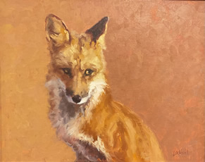 slant eye fox