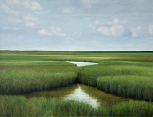 summer marsh